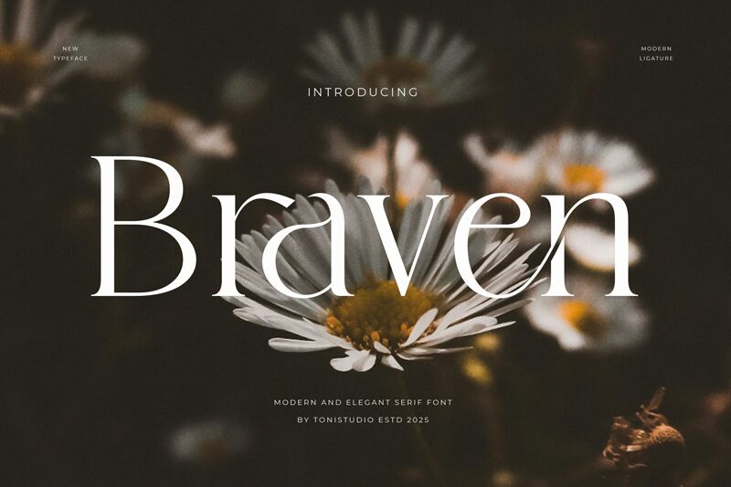 Braven Czcionka