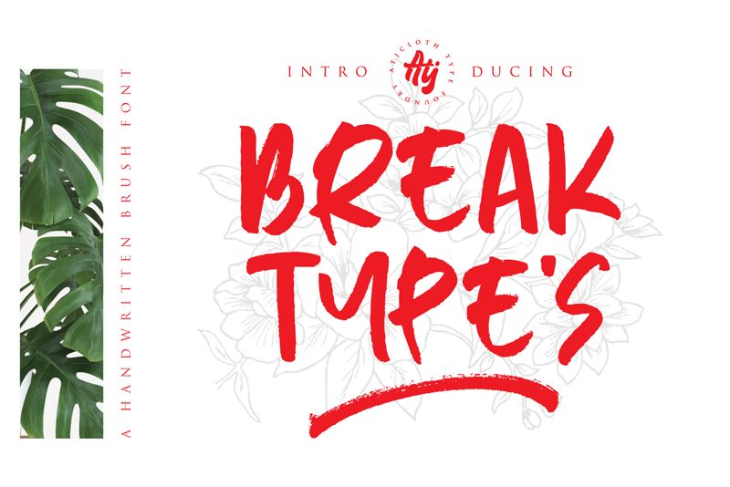 Break Types Schriftart