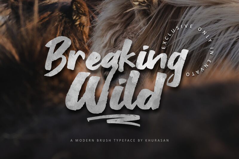 Breaking Wild Fuente