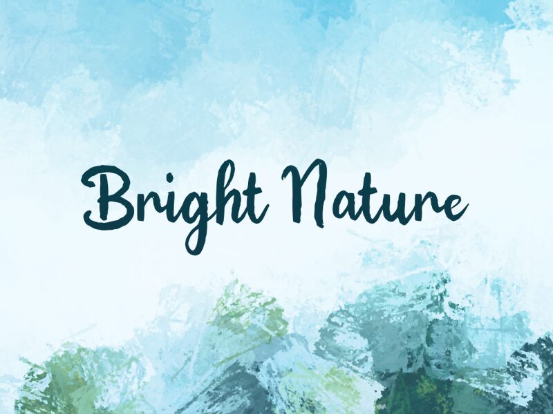 b Bright Nature Carattere