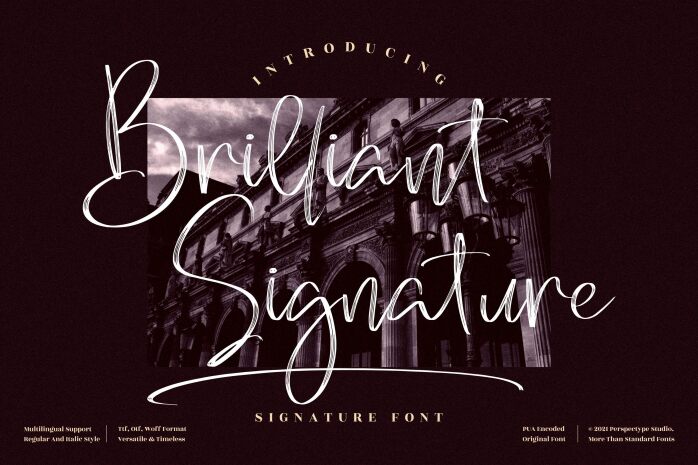 Brilliant Signature font | Fonts2u.com