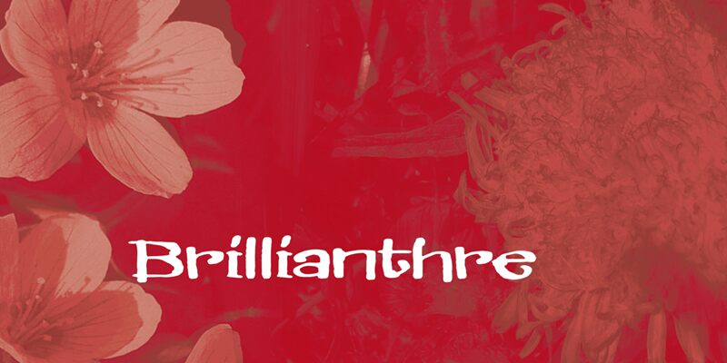 Brillianthre Czcionka