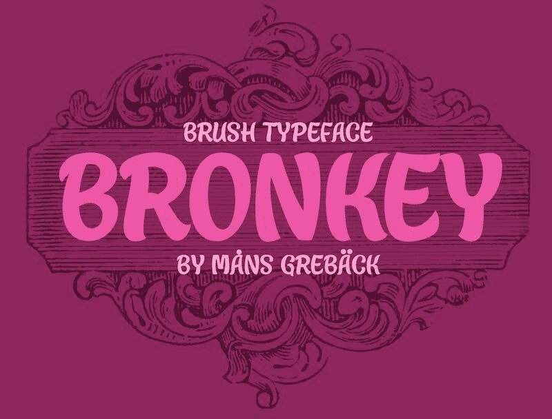 Bronkey Police