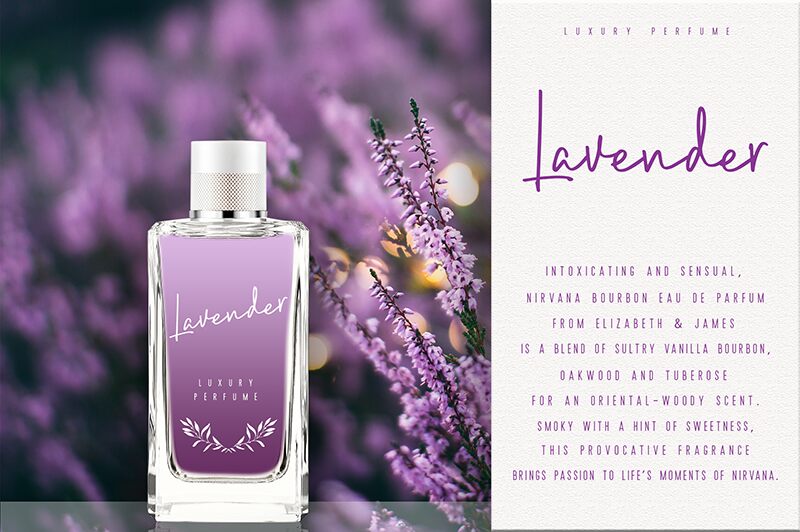 Brush Wayne Carattere