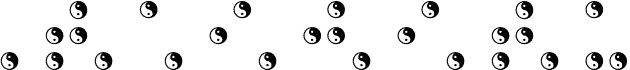 BRAILLE TAIJITU