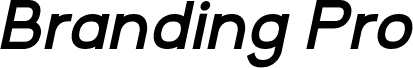 BrandingPro-BoldItalic