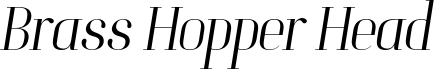 Brass Hopper Head PERSONAL Thin Italic