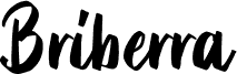BriberraDEMO