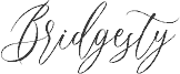 Bridgesty