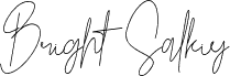 BrightSalkiy
