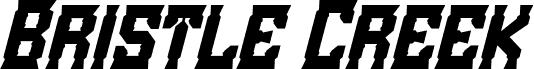 Bristle Creek Italic