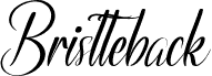 Bristteback Demo