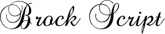 Brock Script_D