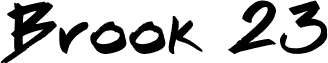 Brook 23