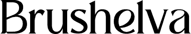 Brushelva Personal Used