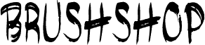 brushshop regular