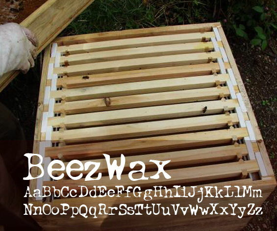 btd BeezWax الخط