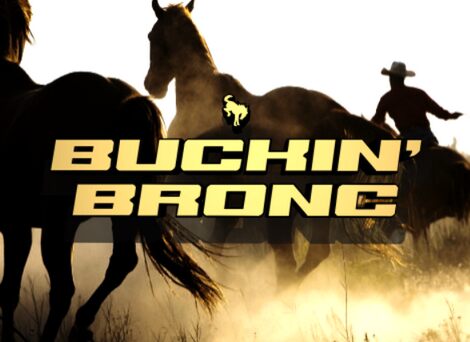 Buckin' Bronc Schriftart