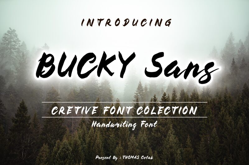BUCKY Sans Schriftart