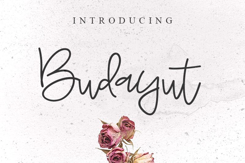 Budayut Шрифт