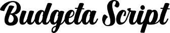 BudgetaScript