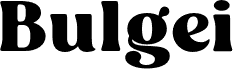 Bulgei Regular