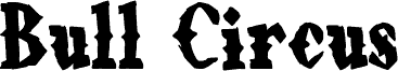 Bull Circus