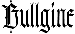BullgineDEMO