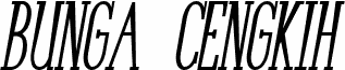 Bunga Cengkih Bold Italic