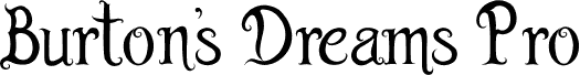 Burton's Dreams Pro