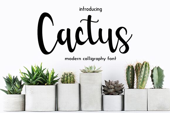 Cactus Czcionka
