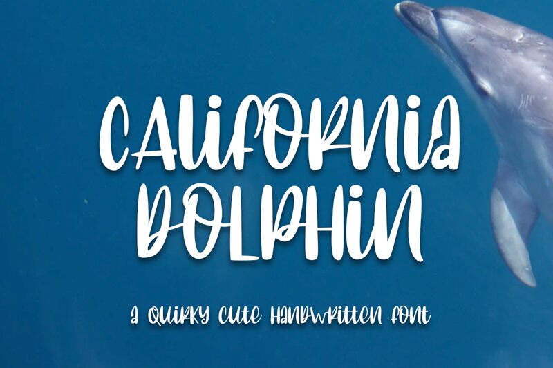 CAlifornia dolphin Carattere