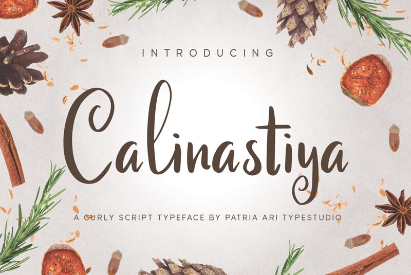 Calinastiya Czcionka