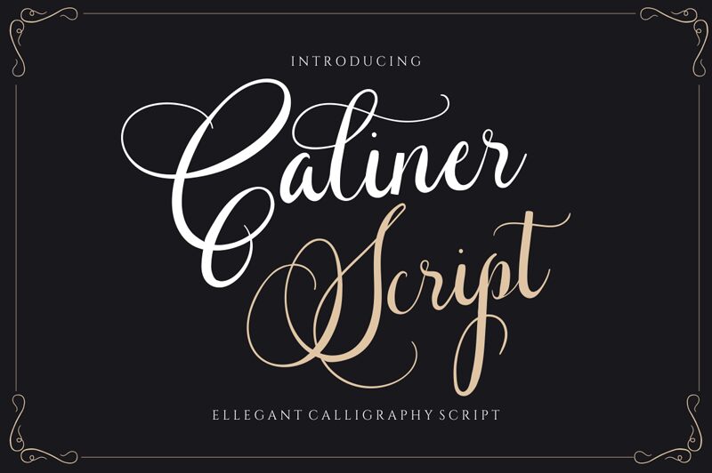 Caliner Script Czcionka