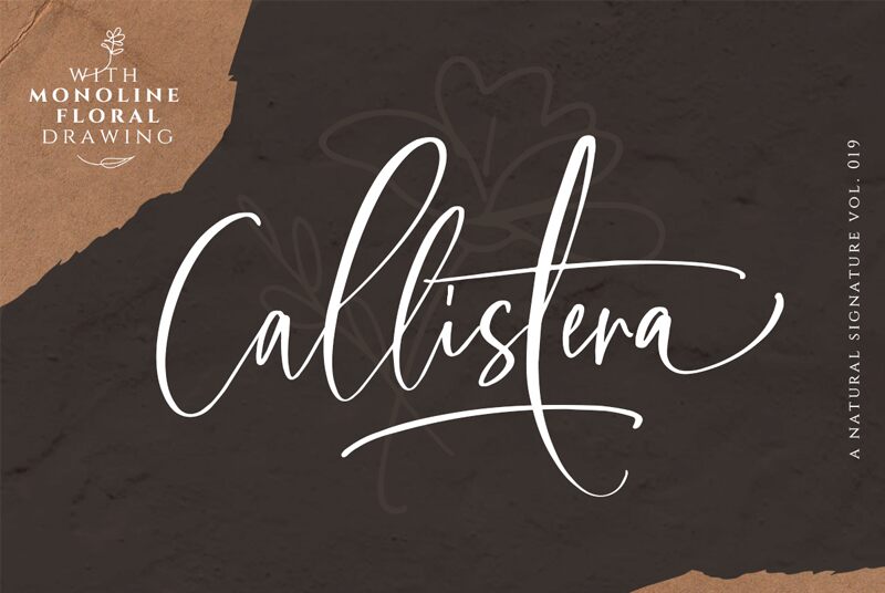 Callistera Script Schriftart