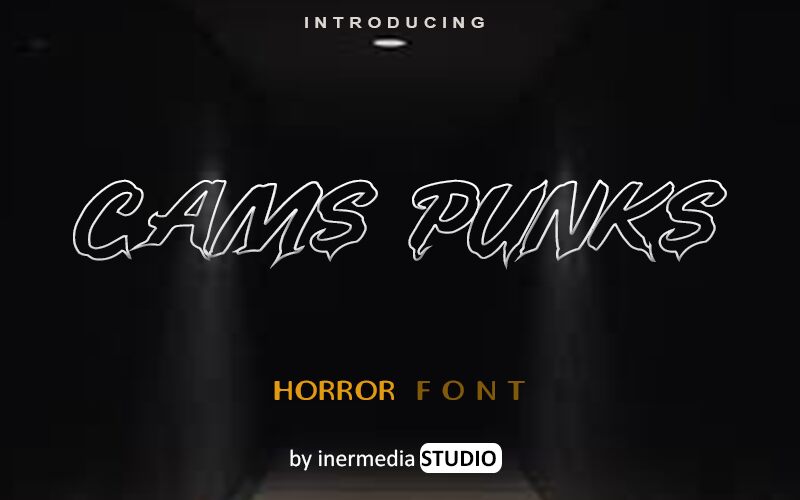 CAMS PUNKS Carattere