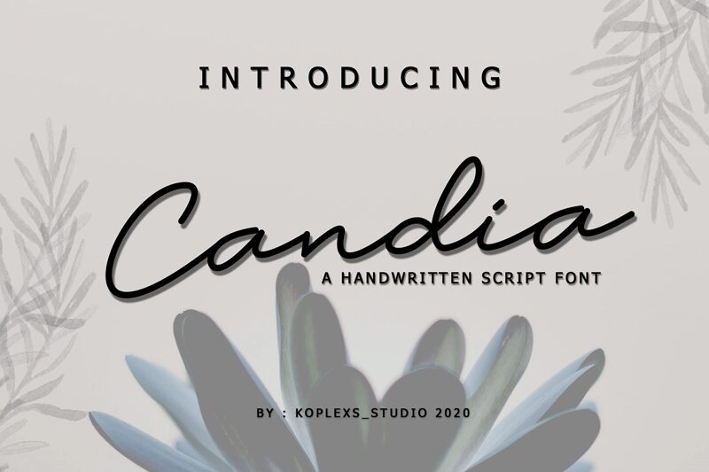Candia Script Font Schriftart