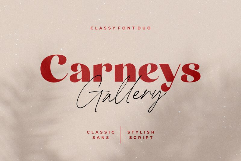 Carneys Gallery Script Druh písma