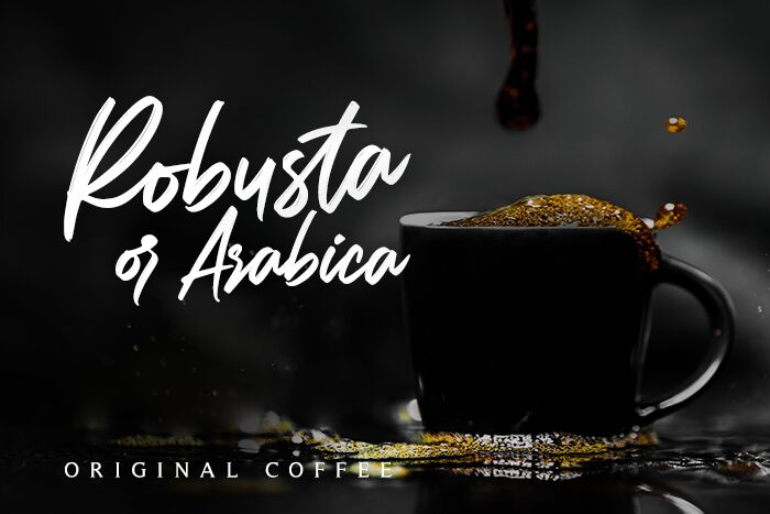Carolissa Schriftart