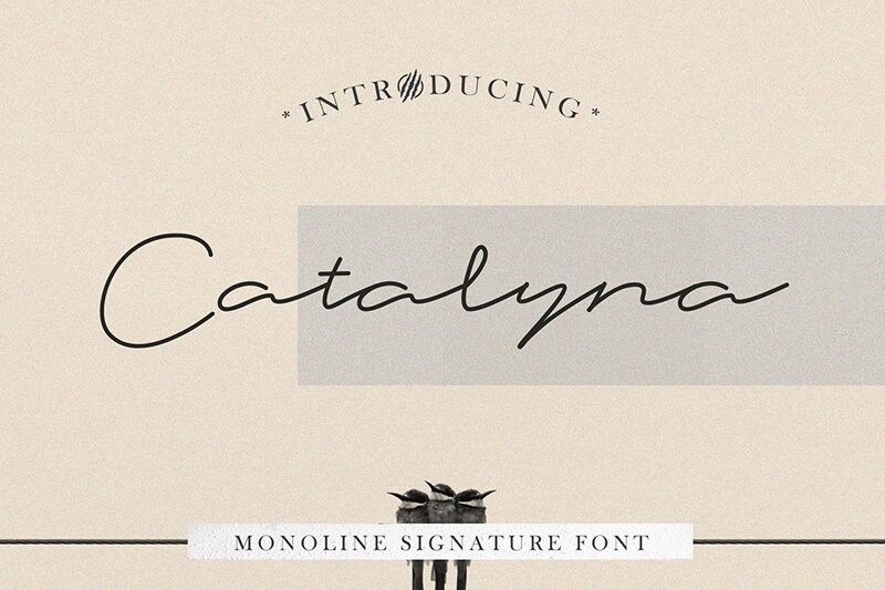 Catalyna Schriftart