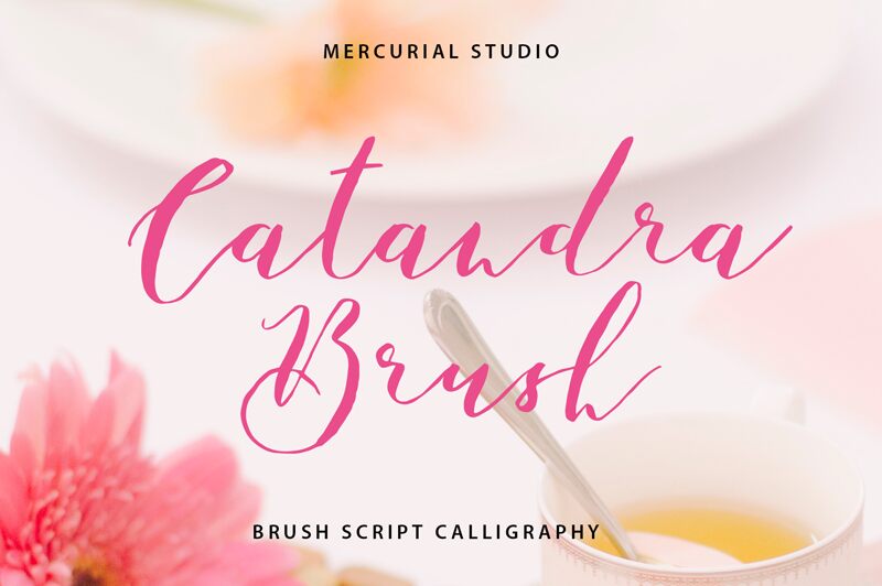 Catandra Brush Schriftart