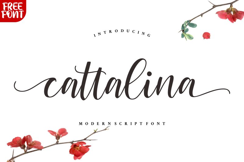 Cattalina الخط 
