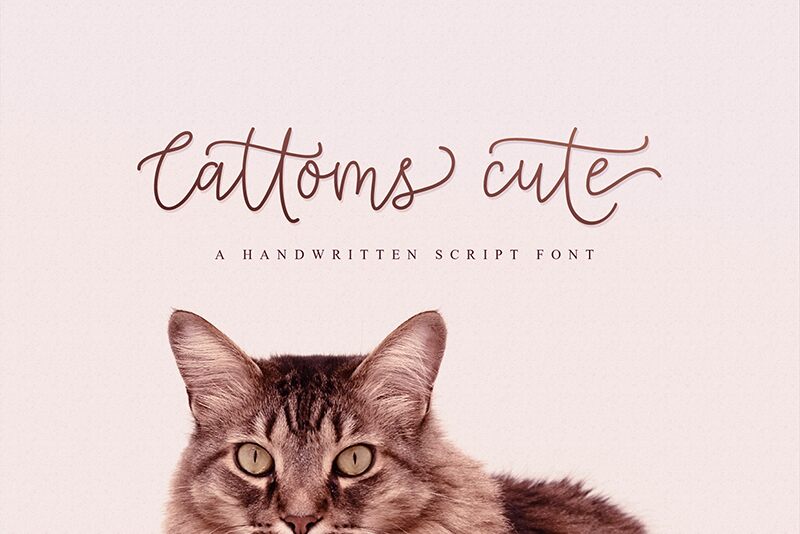 Cattoms cute Font