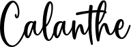 Calanthe