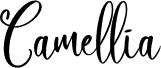 Camellia Personal Use