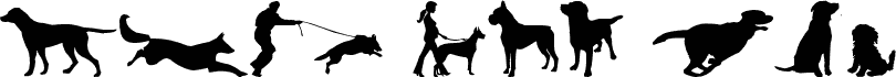 can dog tfb