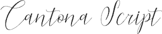 CantonaScript