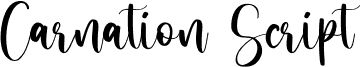 CarnationScript-Regular