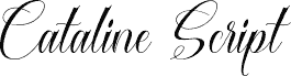 CatalineScript