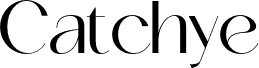 Catchye Demo